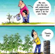 dad farm farming garden gardening marijuana weed // 680x668 // 97KB