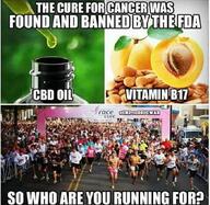 b17 cancer cbd cure marijuana // 680x663 // 118KB